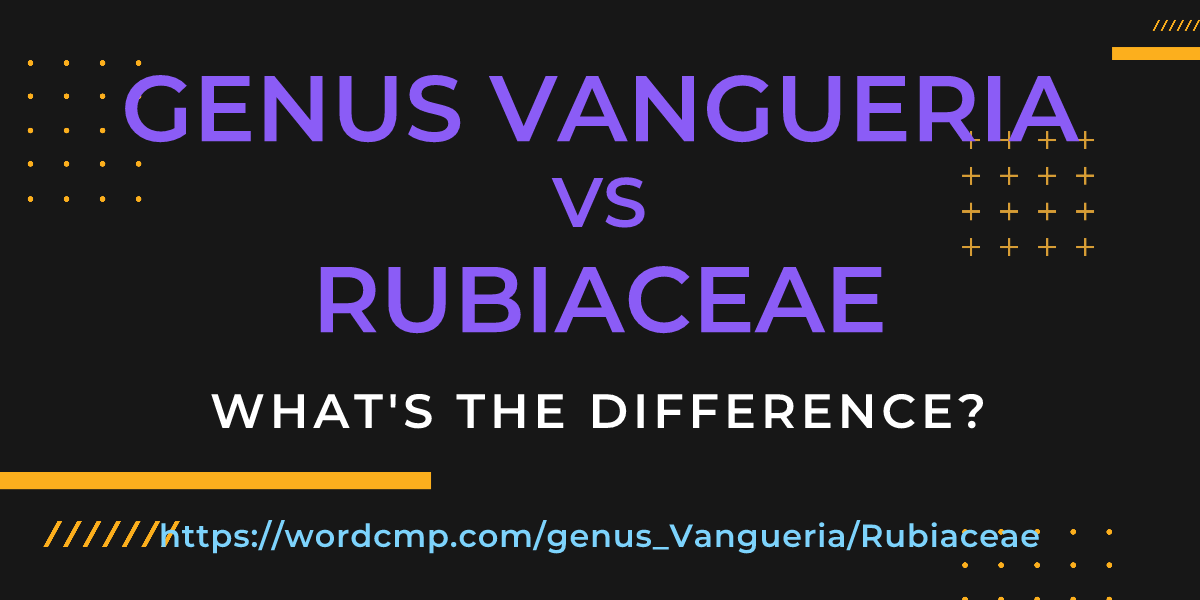Difference between genus Vangueria and Rubiaceae