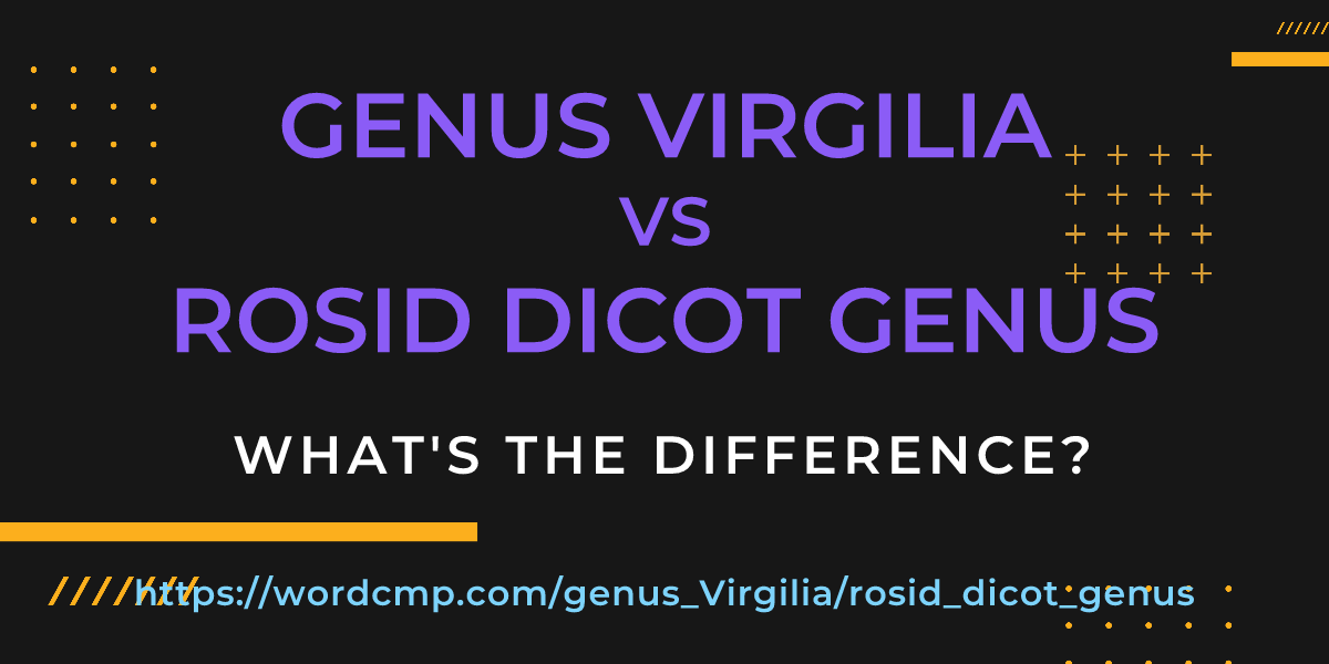 Difference between genus Virgilia and rosid dicot genus