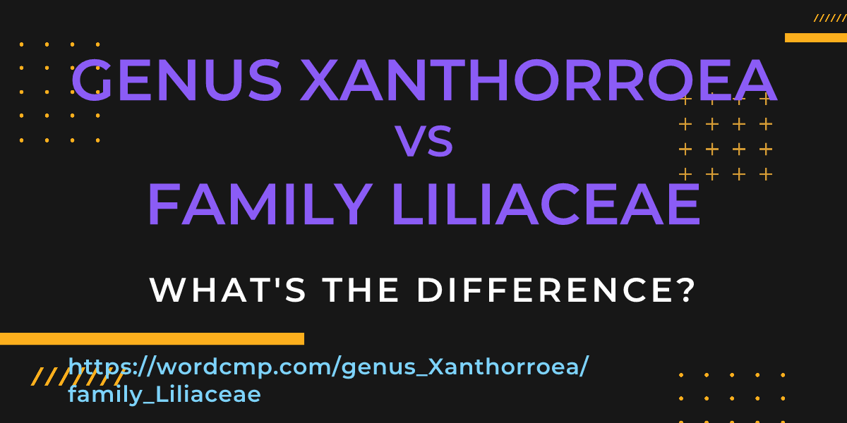 Difference between genus Xanthorroea and family Liliaceae