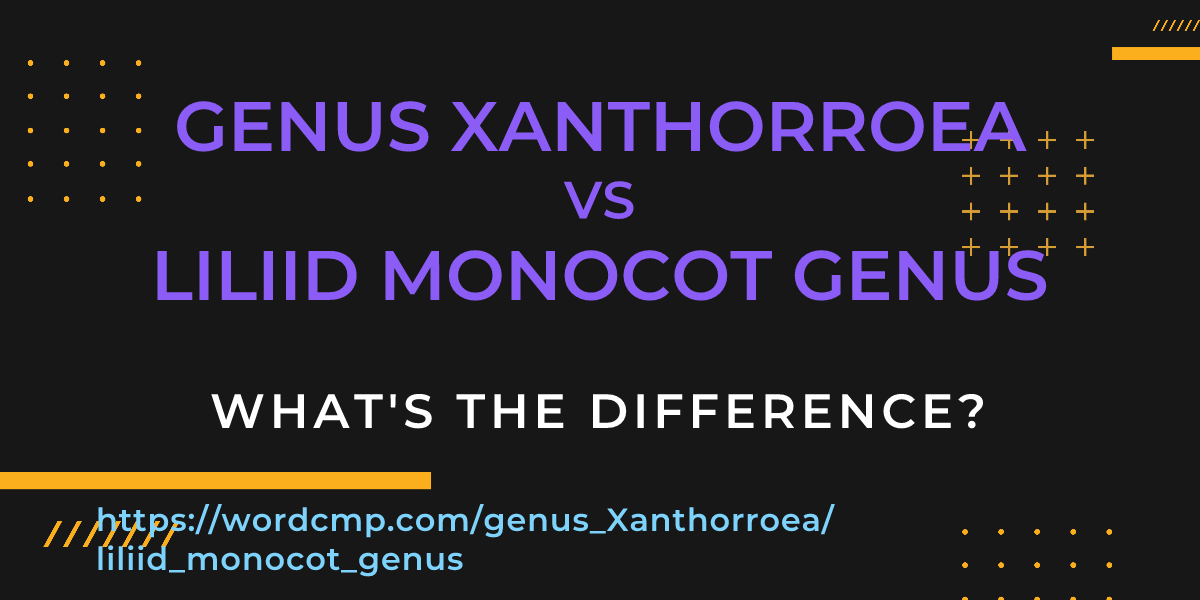 Difference between genus Xanthorroea and liliid monocot genus
