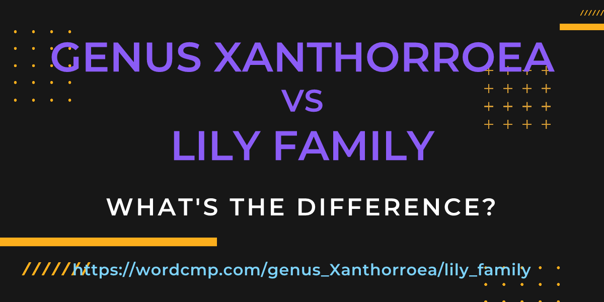 Difference between genus Xanthorroea and lily family