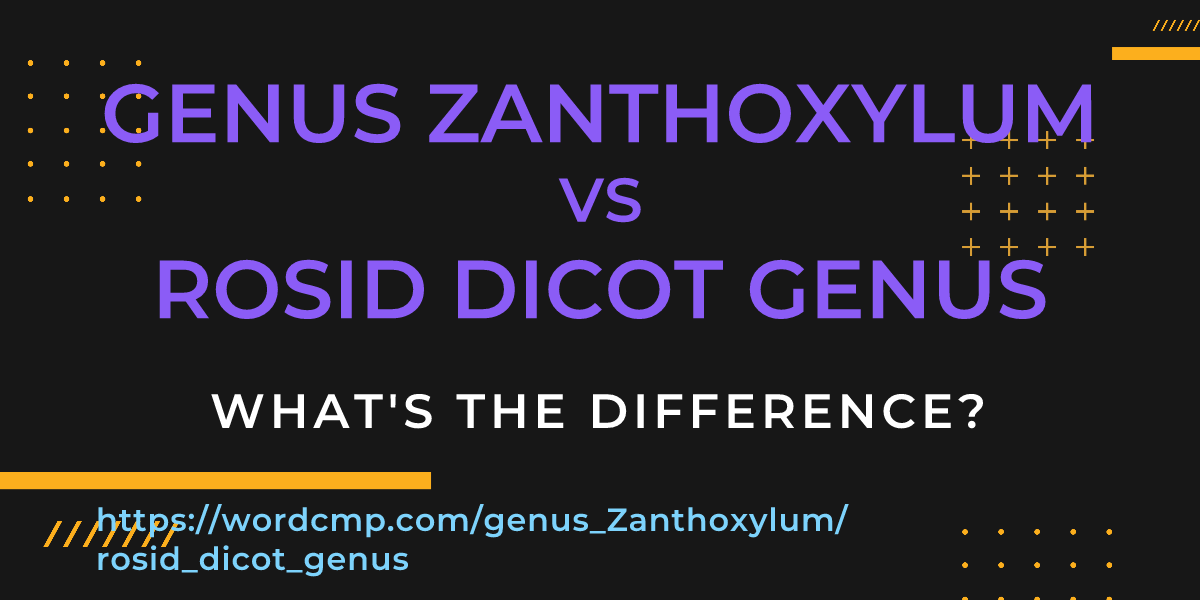 Difference between genus Zanthoxylum and rosid dicot genus