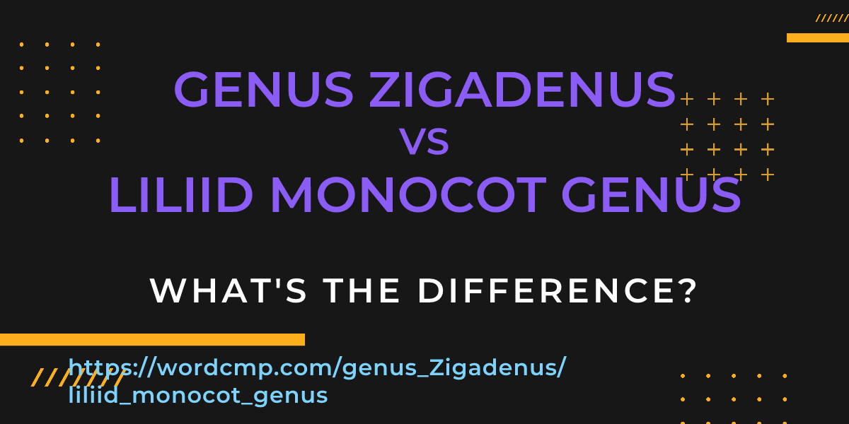 Difference between genus Zigadenus and liliid monocot genus