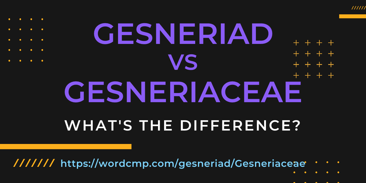 Difference between gesneriad and Gesneriaceae