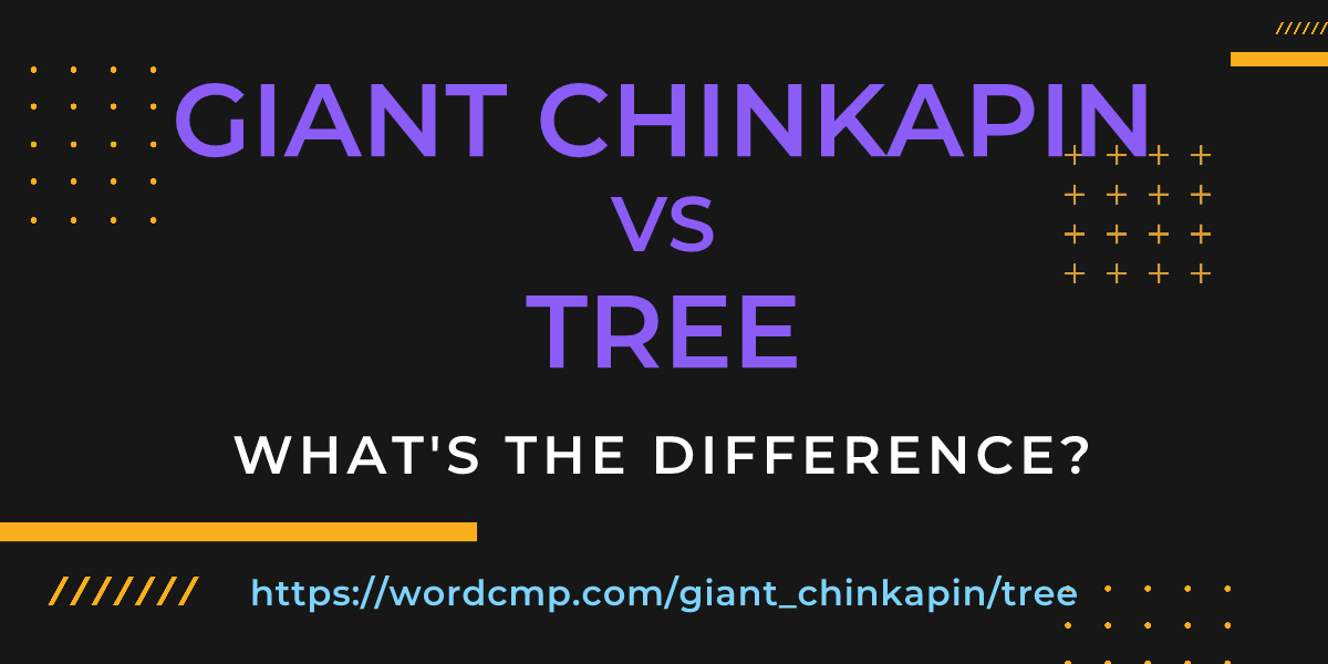 Difference between giant chinkapin and tree