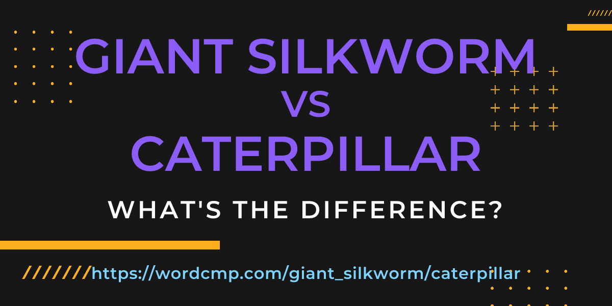Difference between giant silkworm and caterpillar