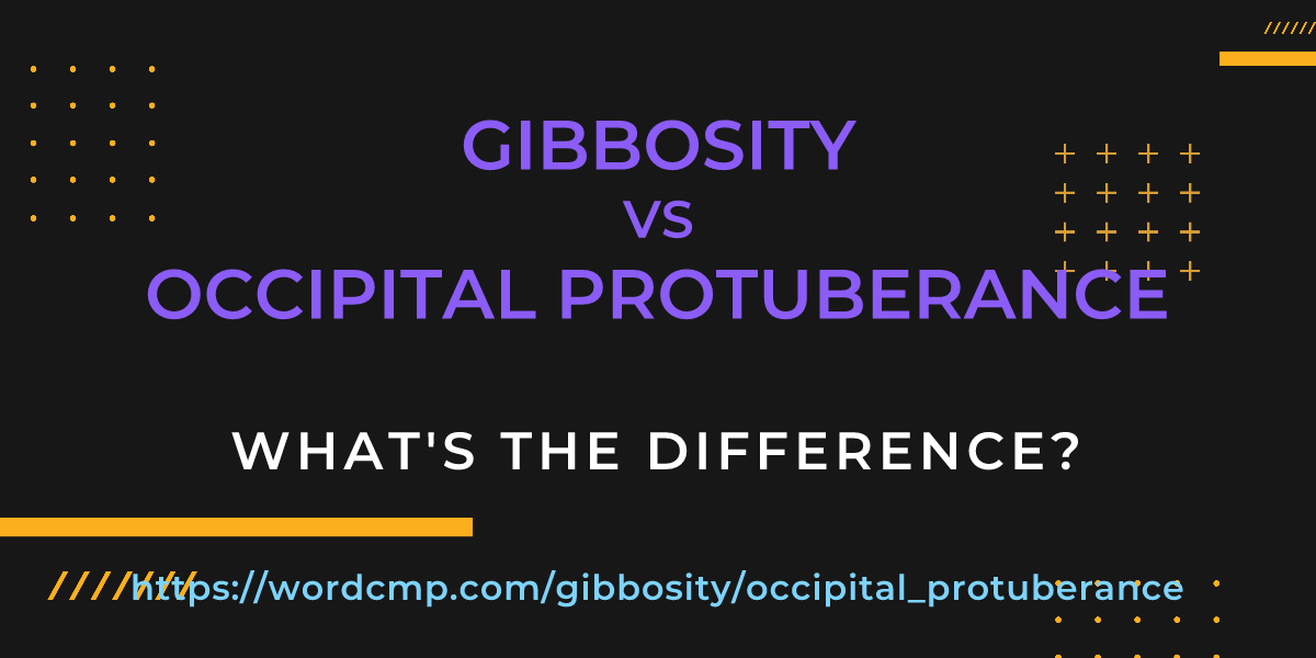 Difference between gibbosity and occipital protuberance