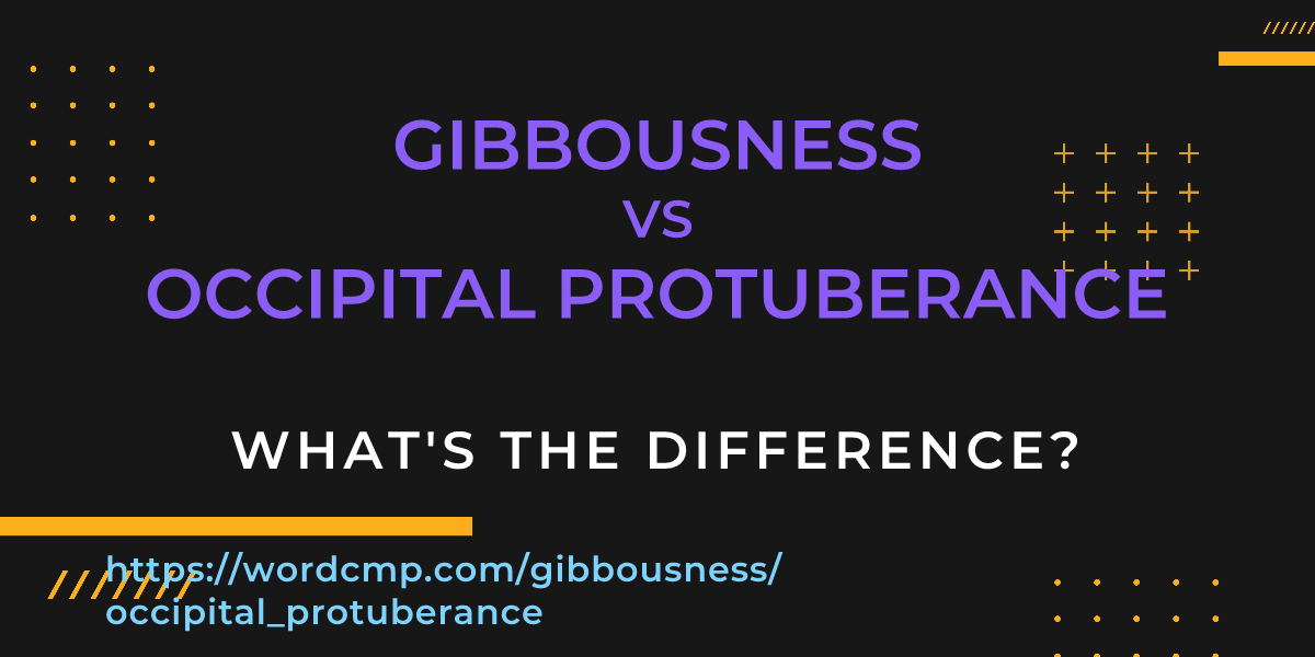 Difference between gibbousness and occipital protuberance