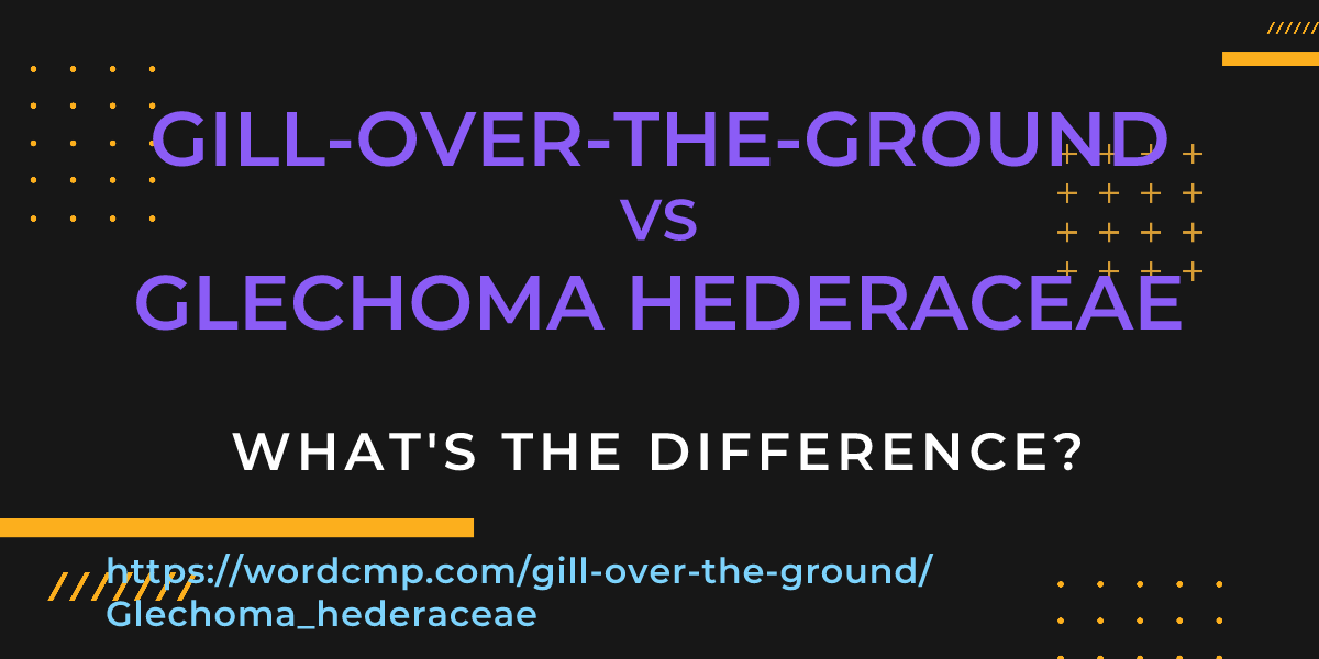 Difference between gill-over-the-ground and Glechoma hederaceae