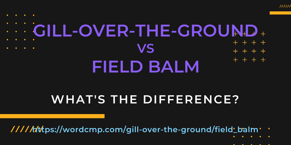 Difference between gill-over-the-ground and field balm