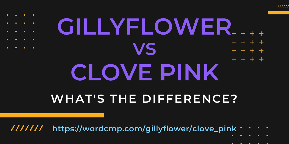 Difference between gillyflower and clove pink