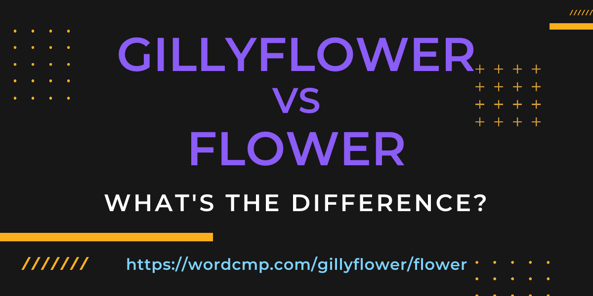Difference between gillyflower and flower