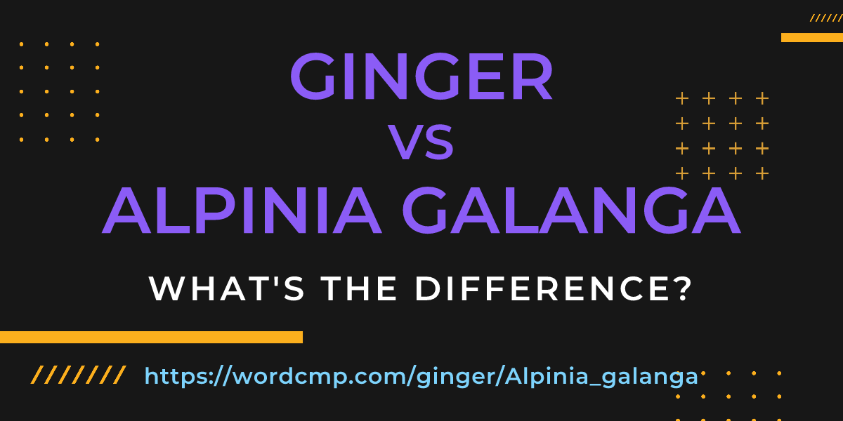 Difference between ginger and Alpinia galanga