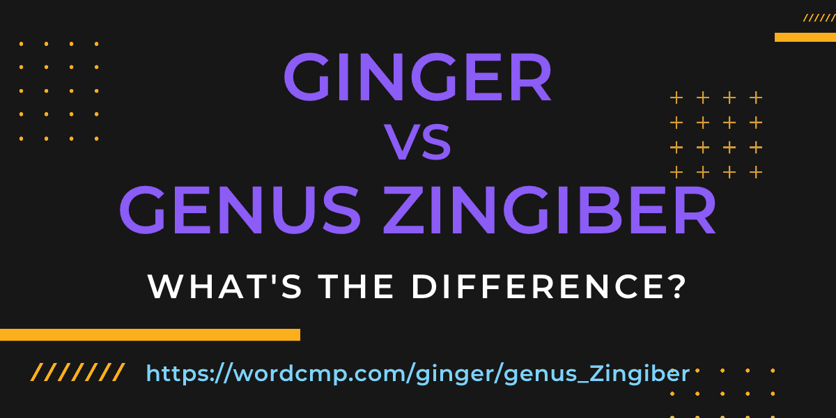 Difference between ginger and genus Zingiber