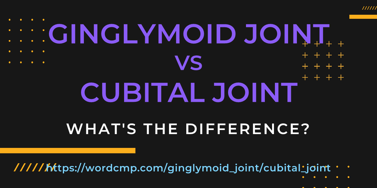 Difference between ginglymoid joint and cubital joint