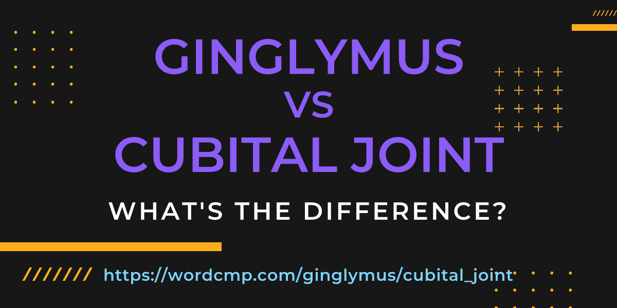 Difference between ginglymus and cubital joint