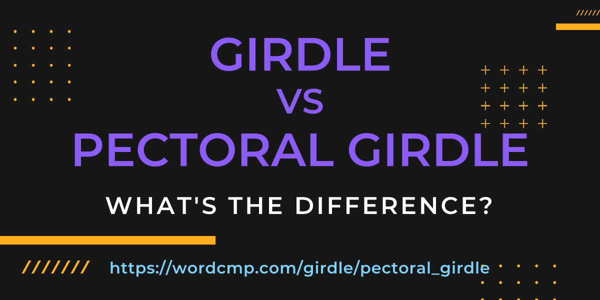 Difference between girdle and pectoral girdle