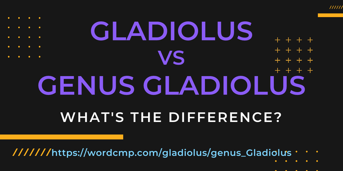 Difference between gladiolus and genus Gladiolus