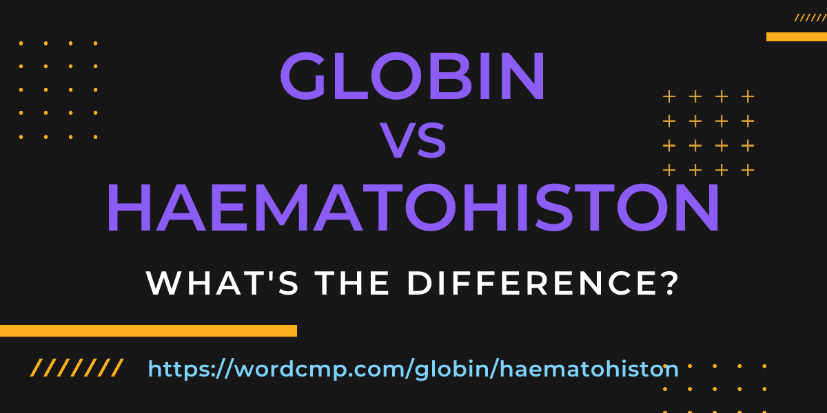 Difference between globin and haematohiston