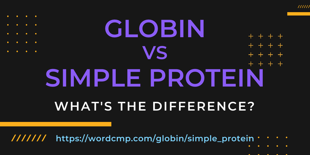 Difference between globin and simple protein
