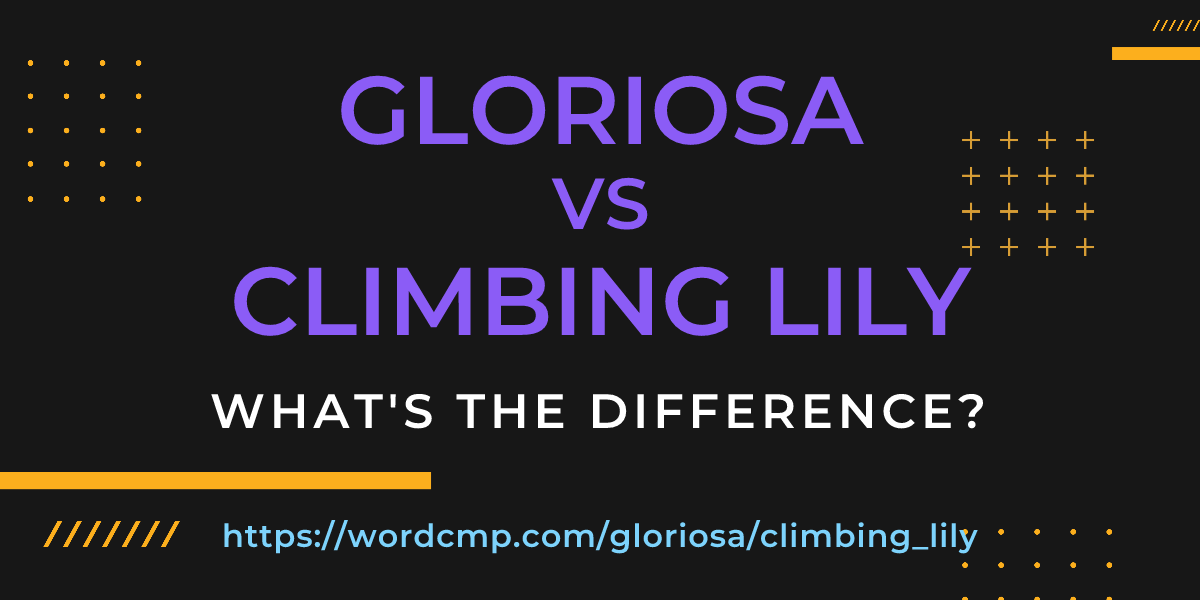 Difference between gloriosa and climbing lily