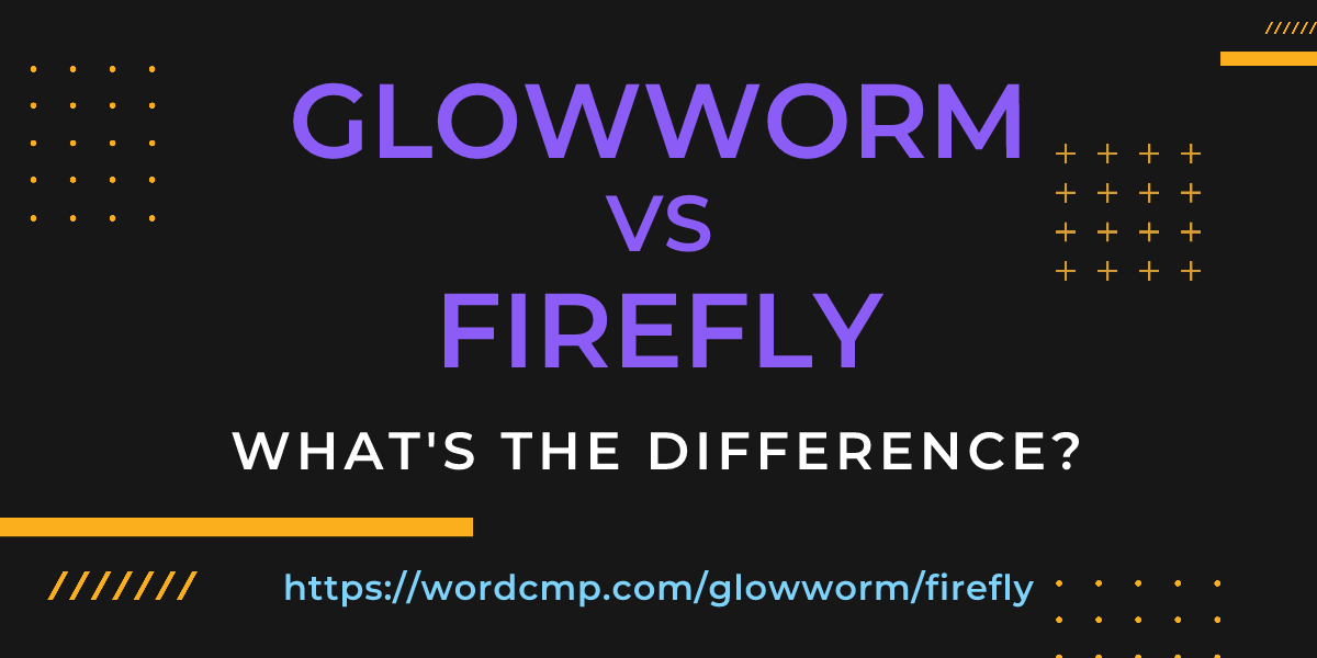 Difference between glowworm and firefly