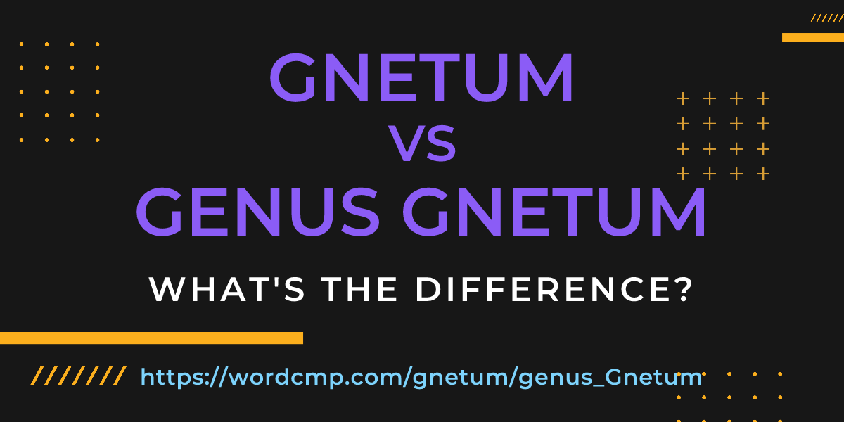Difference between gnetum and genus Gnetum