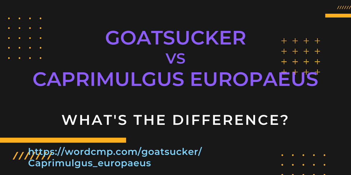 Difference between goatsucker and Caprimulgus europaeus