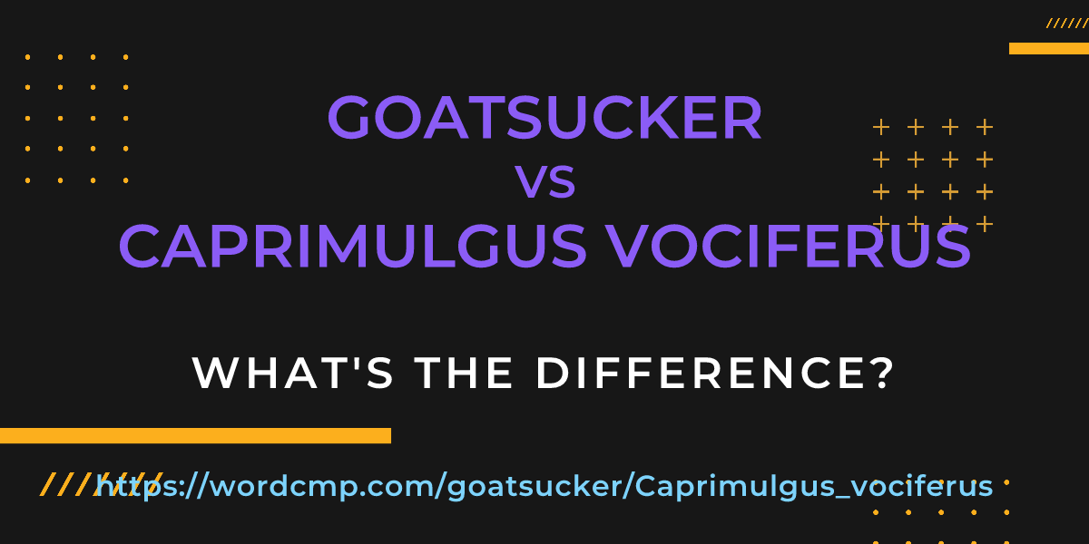 Difference between goatsucker and Caprimulgus vociferus