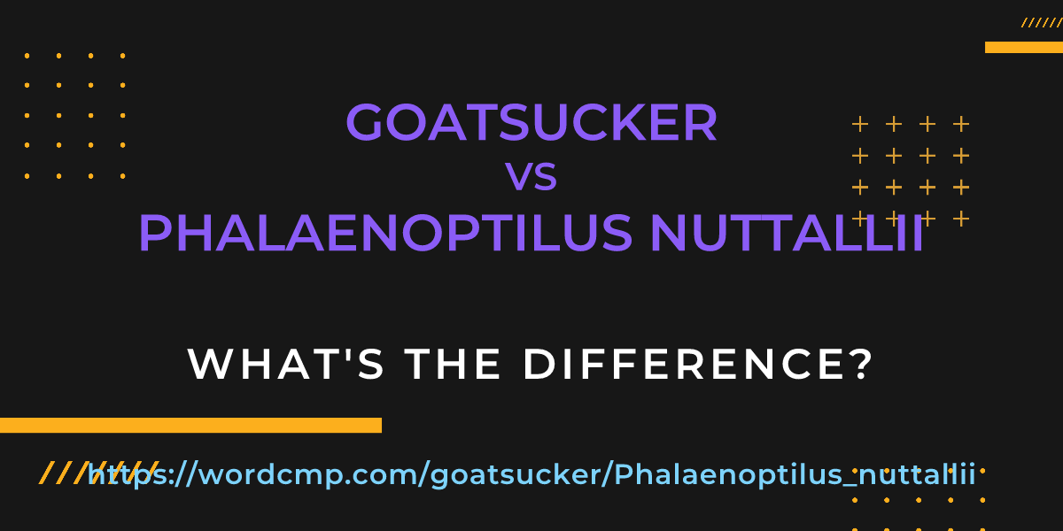 Difference between goatsucker and Phalaenoptilus nuttallii