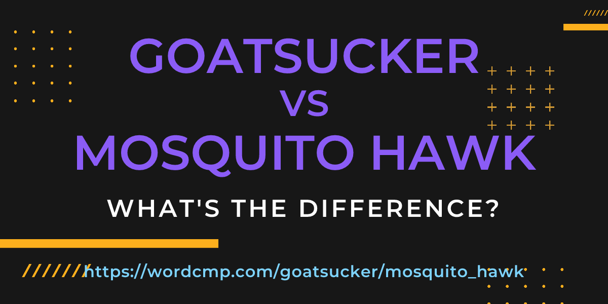 Difference between goatsucker and mosquito hawk