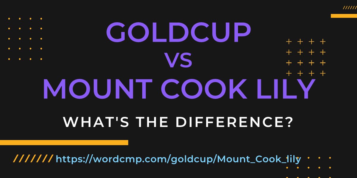 Difference between goldcup and Mount Cook lily