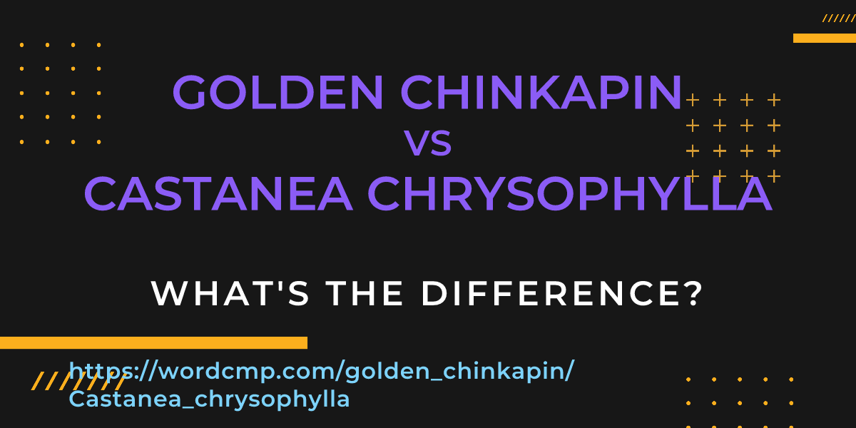 Difference between golden chinkapin and Castanea chrysophylla