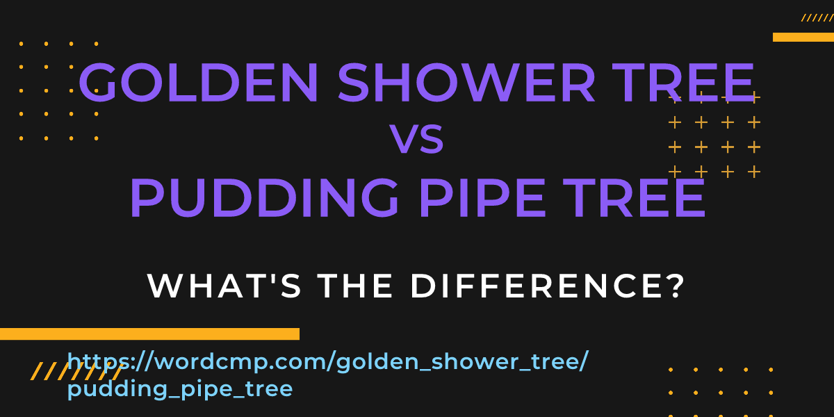 Difference between golden shower tree and pudding pipe tree