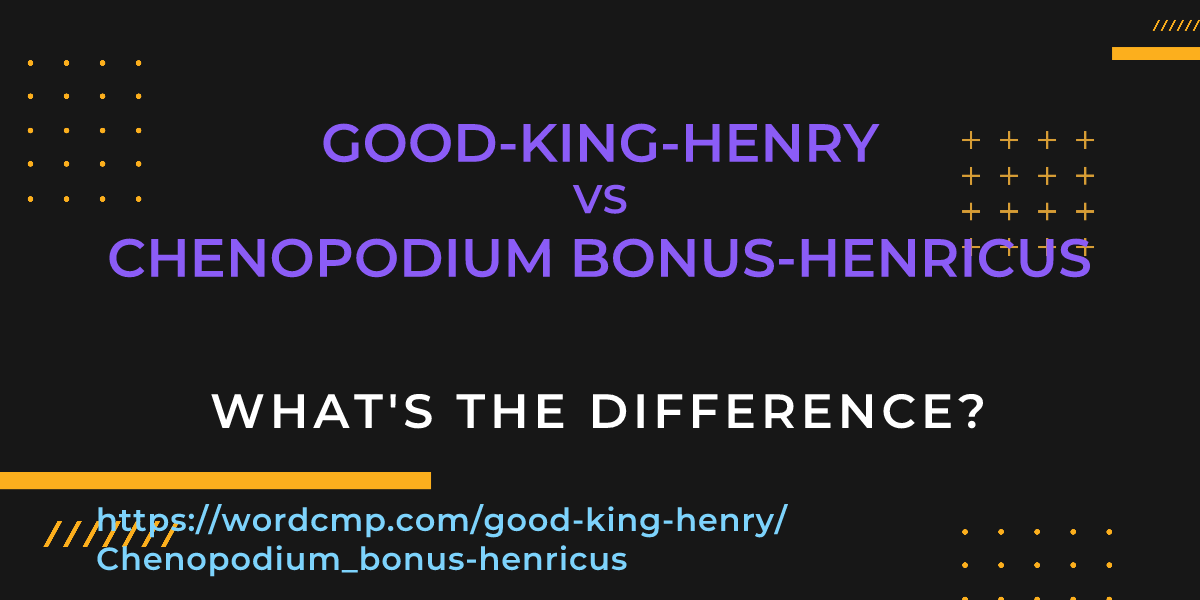 Difference between good-king-henry and Chenopodium bonus-henricus