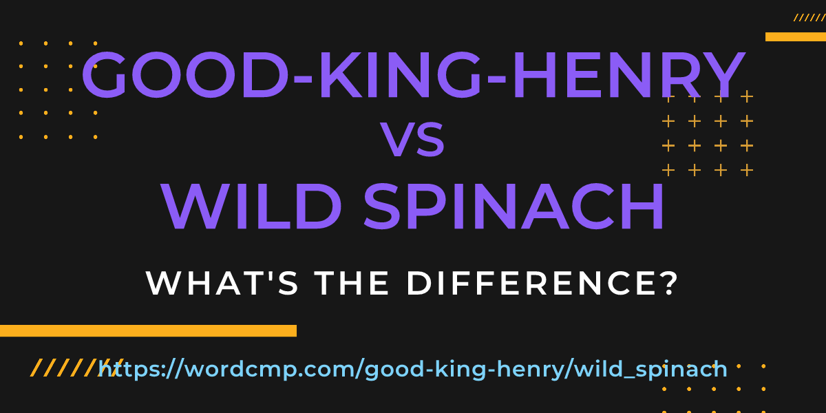 Difference between good-king-henry and wild spinach