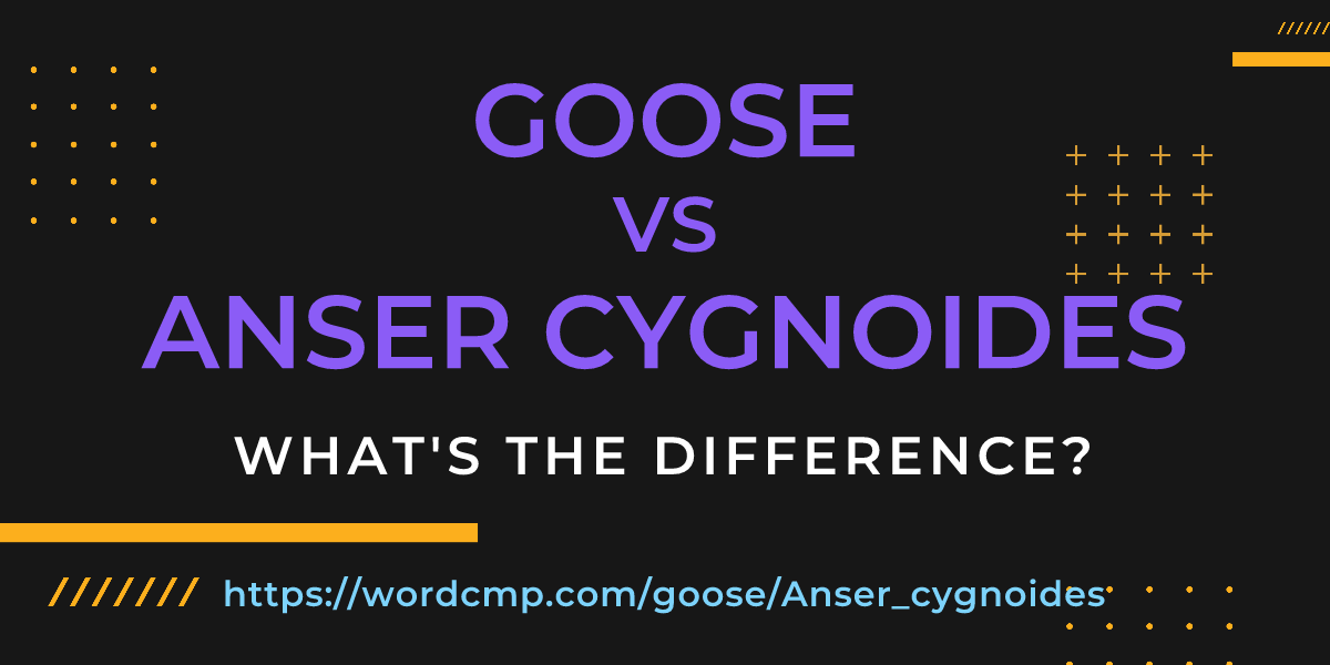 Difference between goose and Anser cygnoides