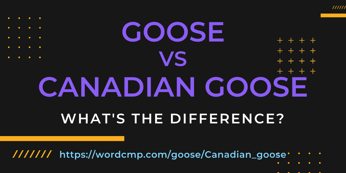 Difference between goose and Canadian goose