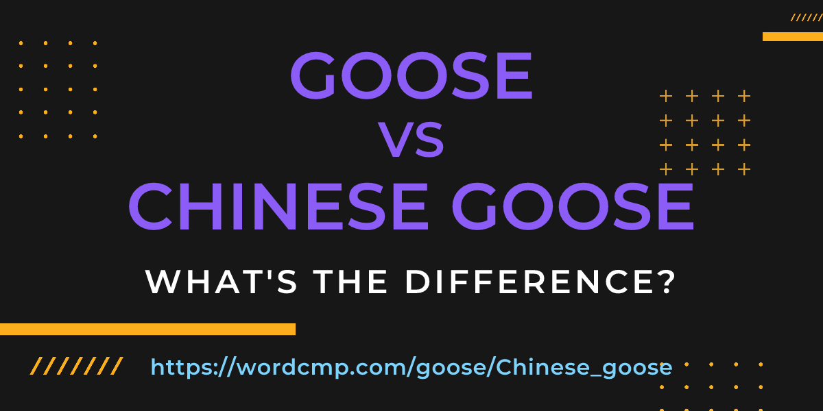 Difference between goose and Chinese goose