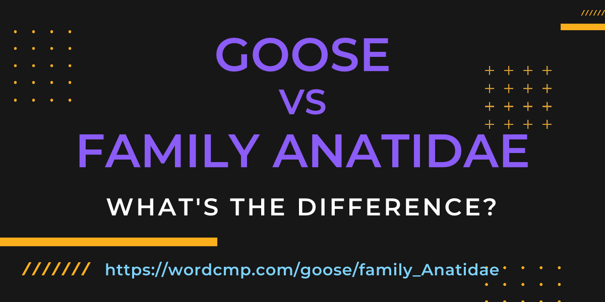 Difference between goose and family Anatidae