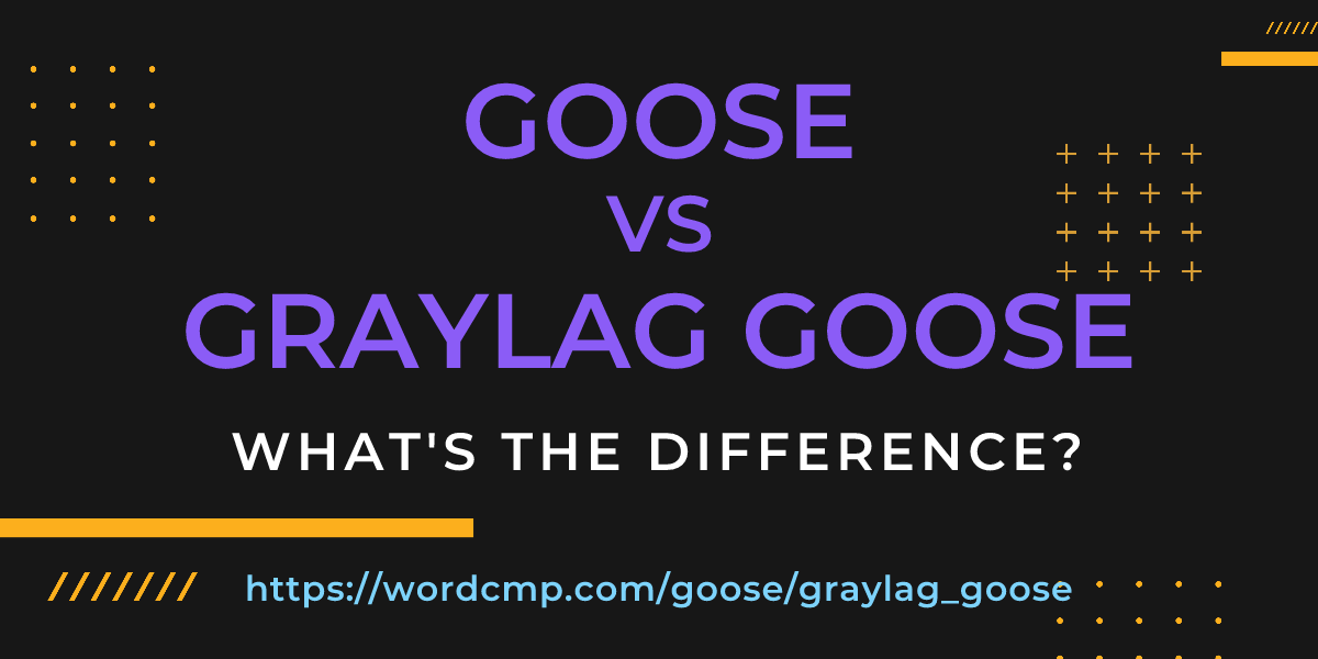 Difference between goose and graylag goose