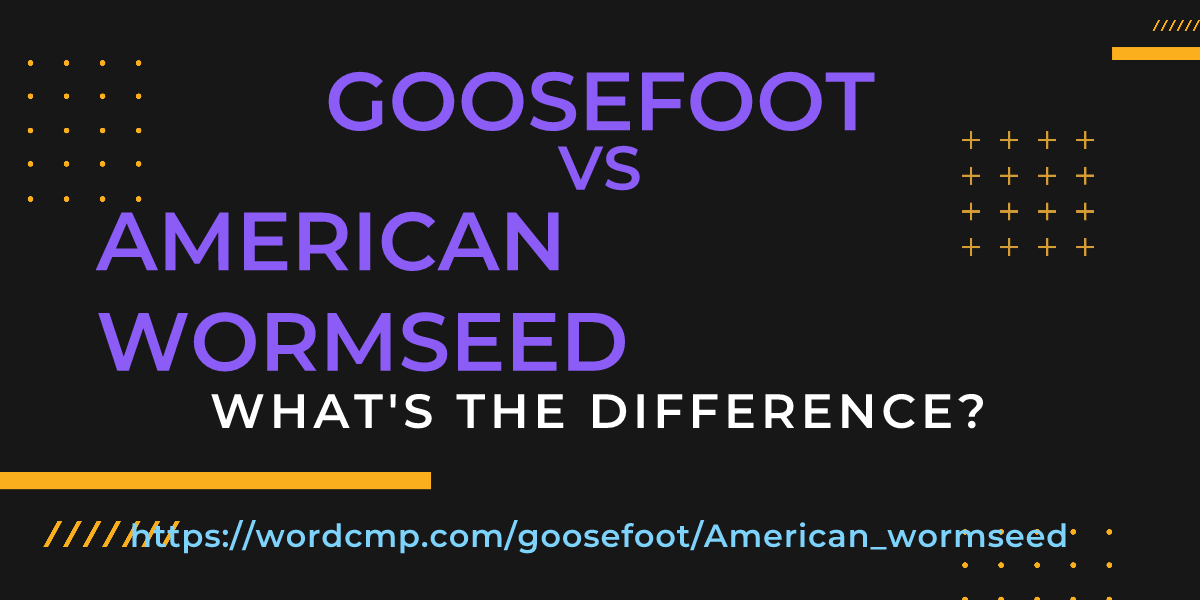 Difference between goosefoot and American wormseed