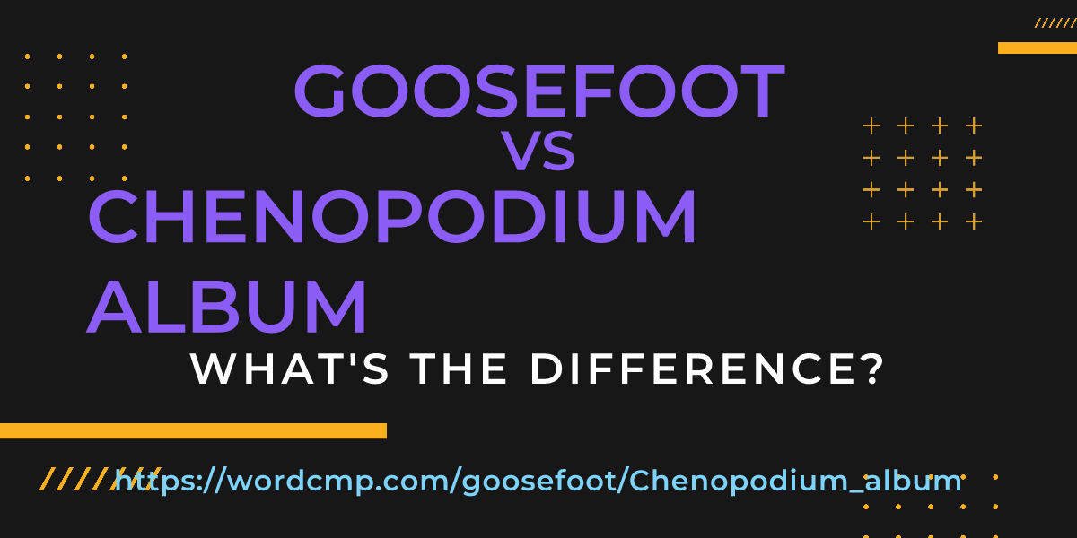 Difference between goosefoot and Chenopodium album