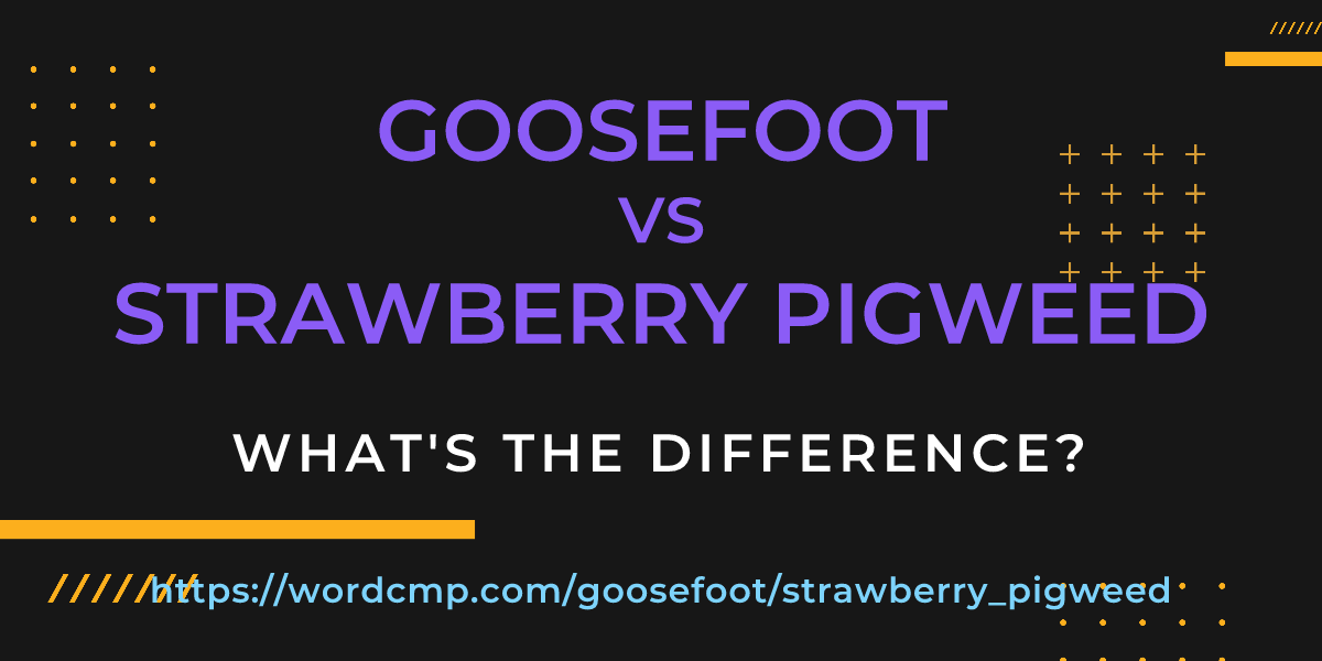 Difference between goosefoot and strawberry pigweed