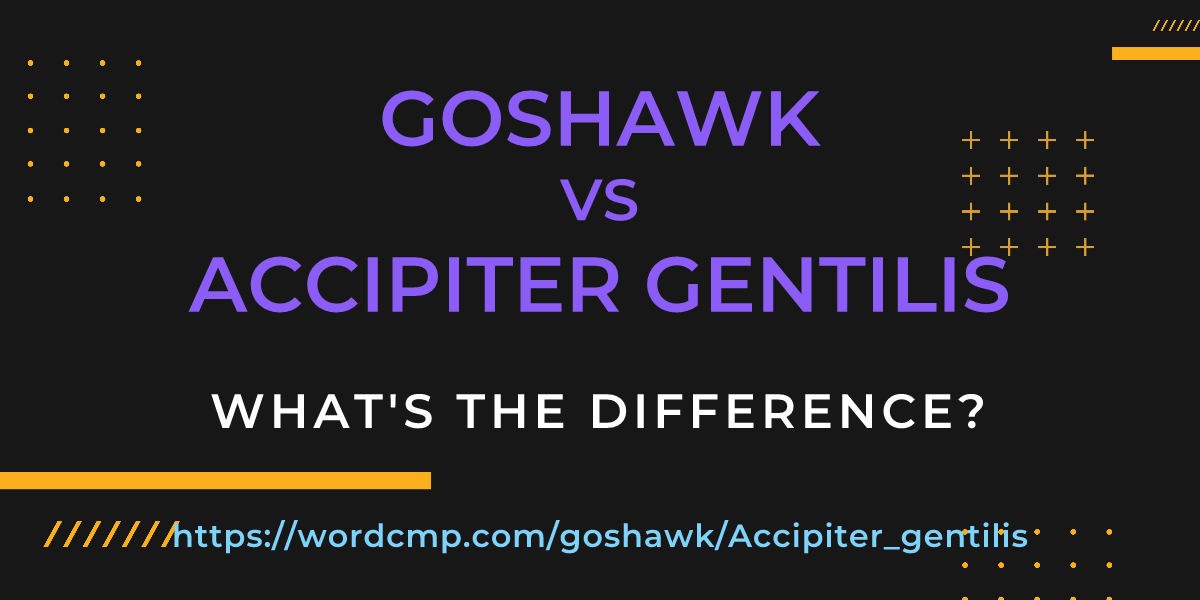 Difference between goshawk and Accipiter gentilis