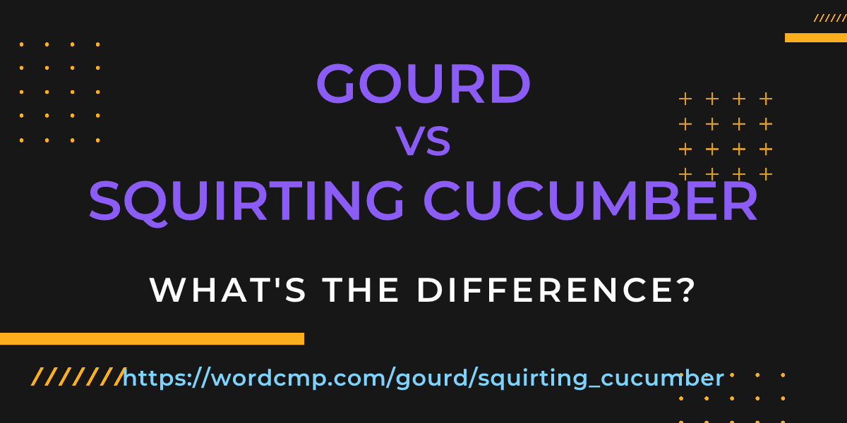 Difference between gourd and squirting cucumber