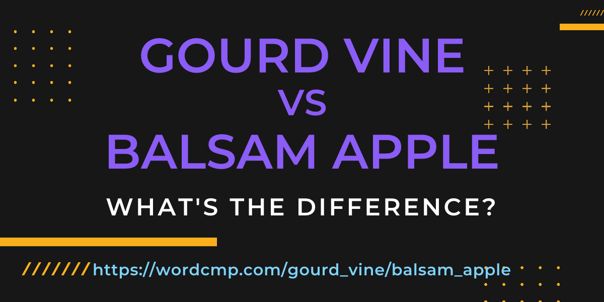 Difference between gourd vine and balsam apple