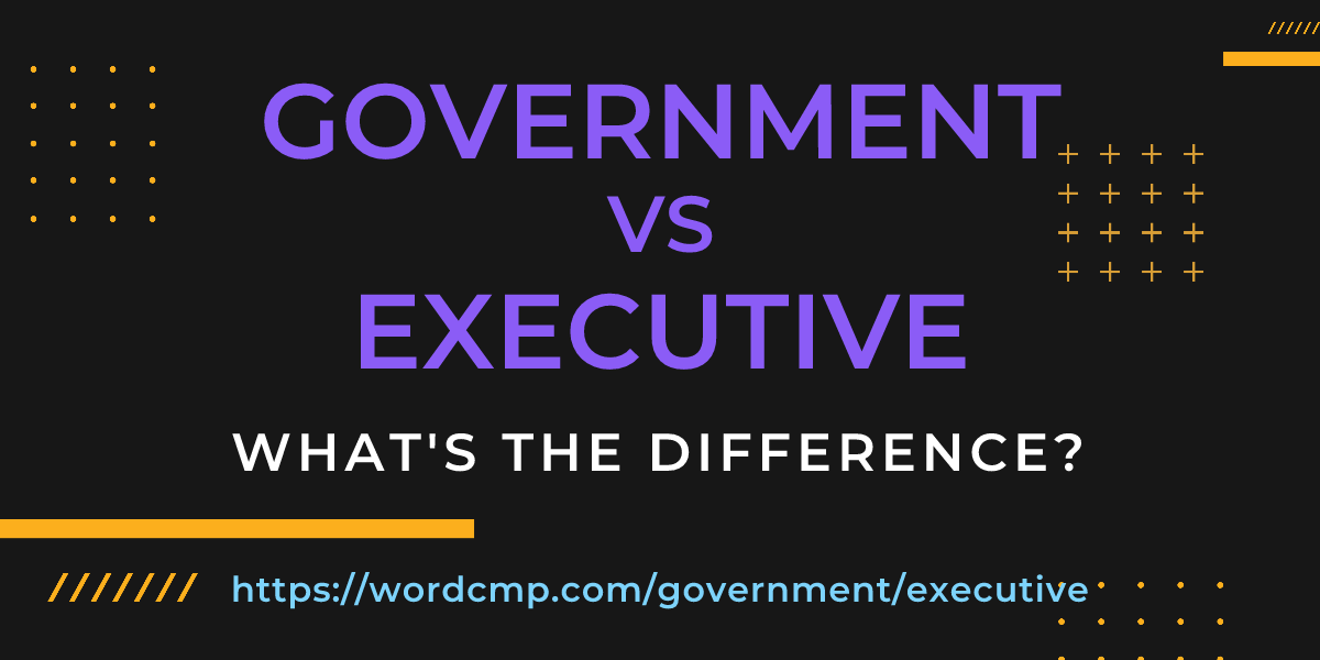 Difference between government and executive