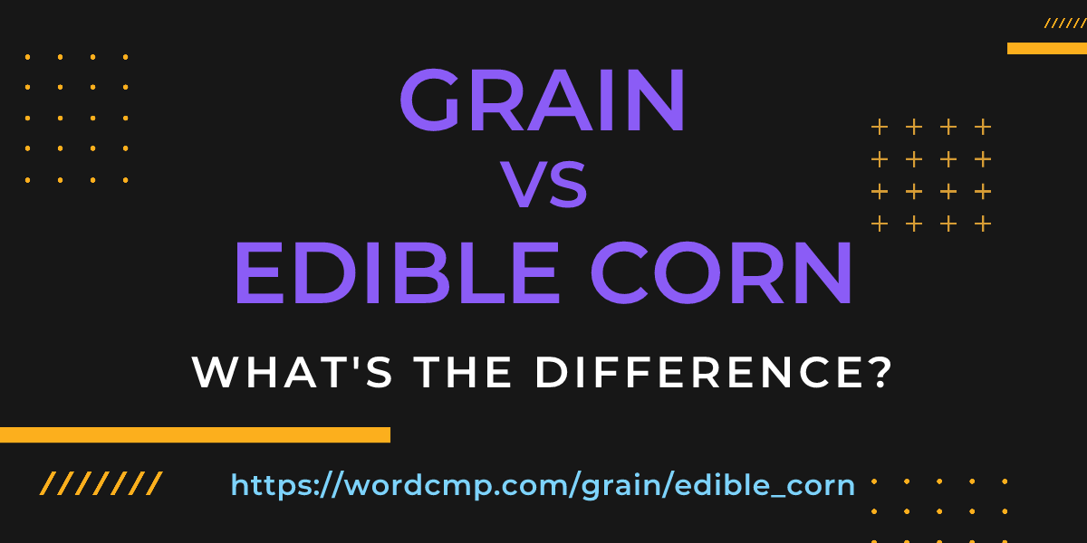 Difference between grain and edible corn