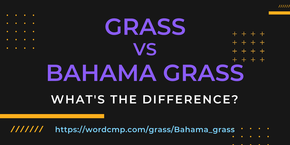 Difference between grass and Bahama grass